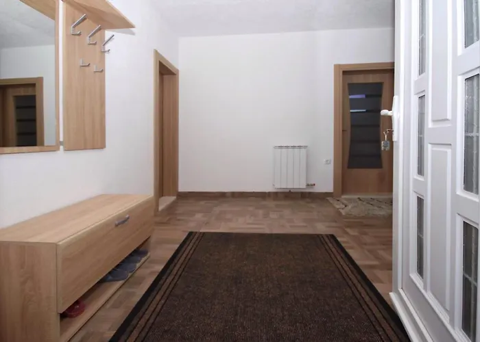 Mladen * 特雷比涅